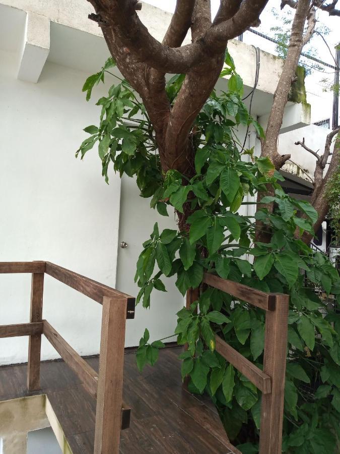 Estudio Zona Centro Cerca De La Terminal Ado Cancún Kültér fotó