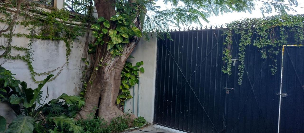 Estudio Zona Centro Cerca De La Terminal Ado Cancún Kültér fotó