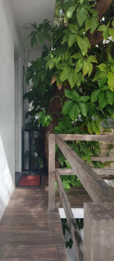 Estudio Zona Centro Cerca De La Terminal Ado Cancún Kültér fotó
