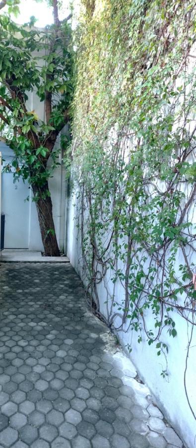 Estudio Zona Centro Cerca De La Terminal Ado Cancún Kültér fotó